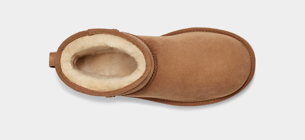 Botte Classic Mini II Chestnut