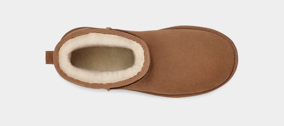 Botte Classic Mini À Platforme Chestnut