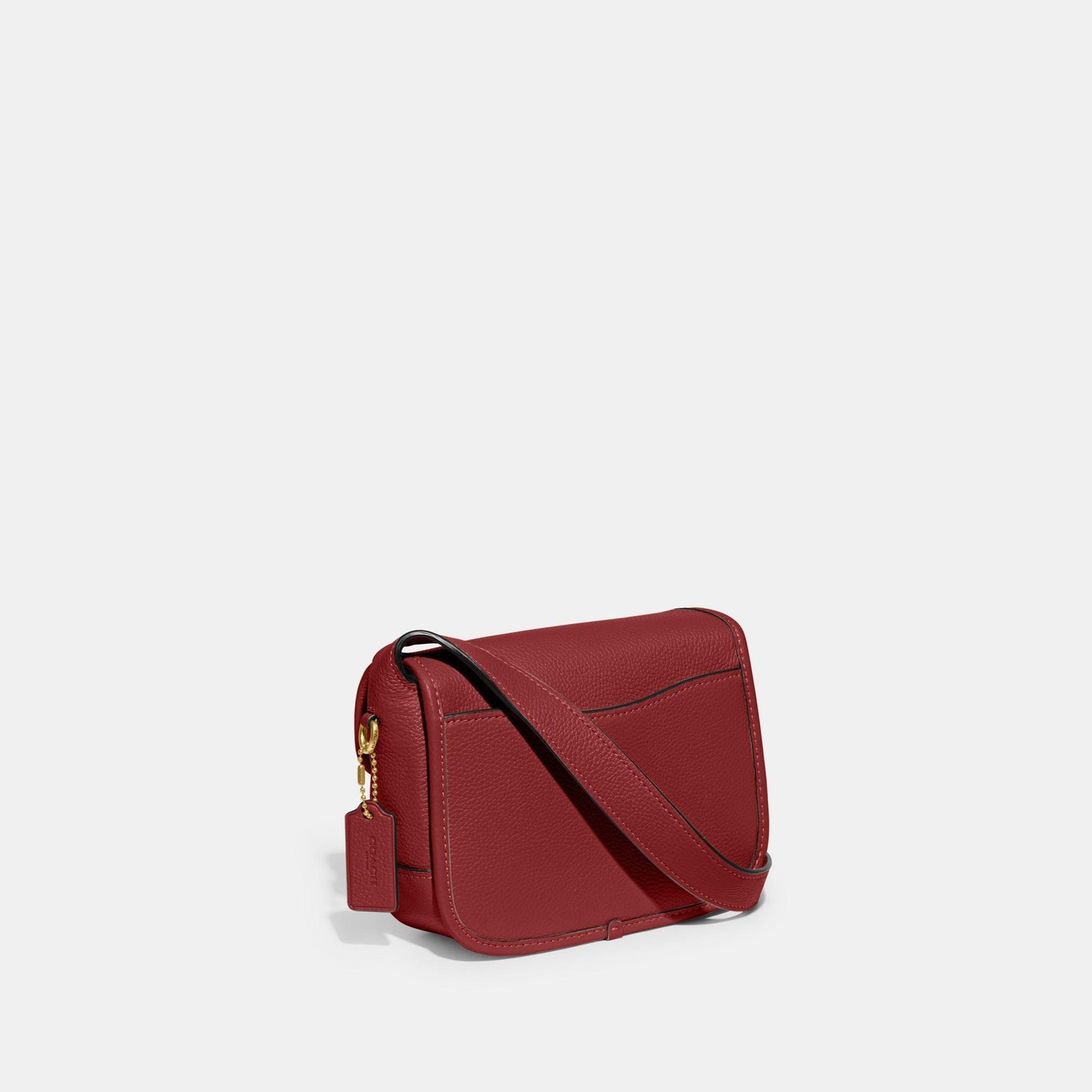 Tabby Messenger 19