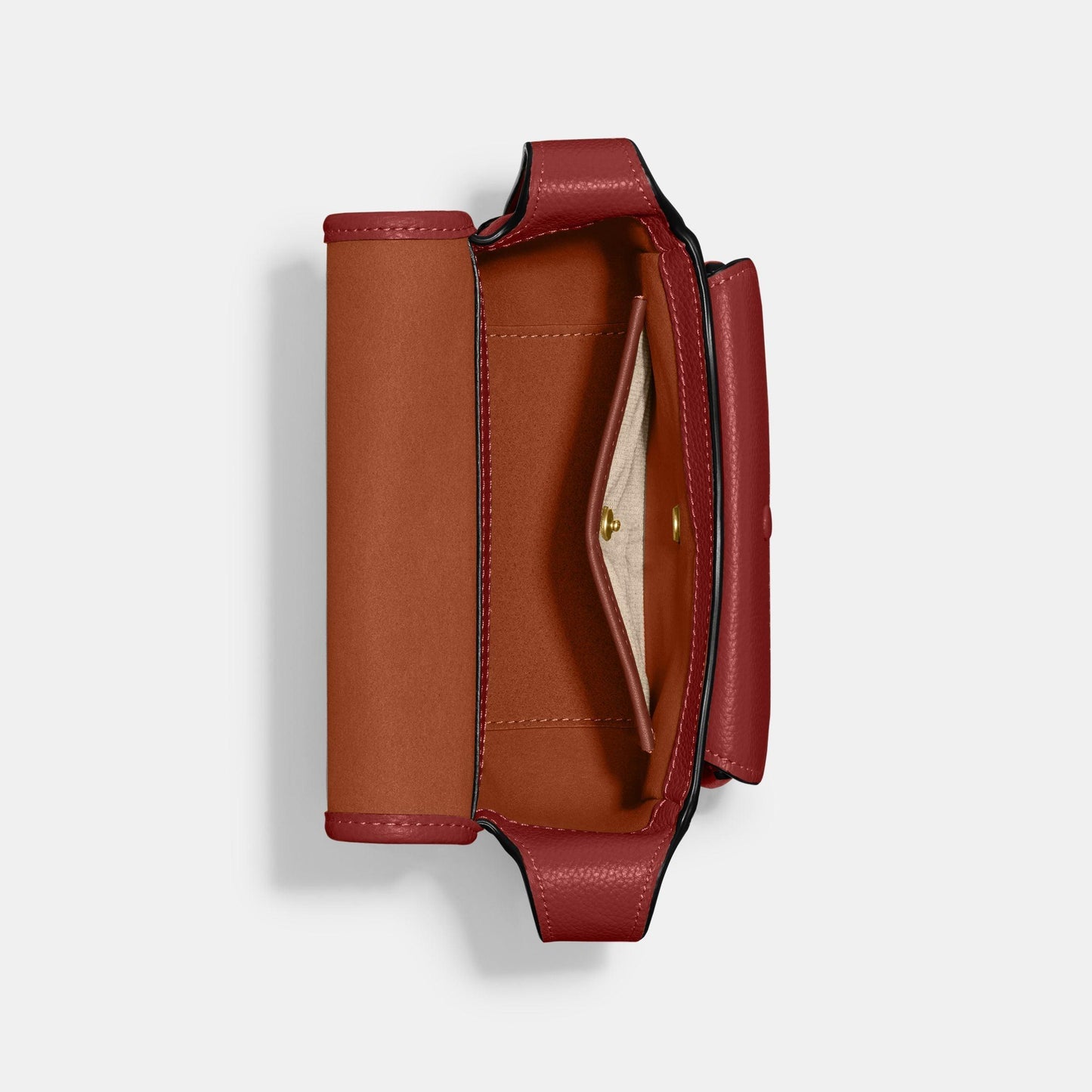 Tabby Messenger 19