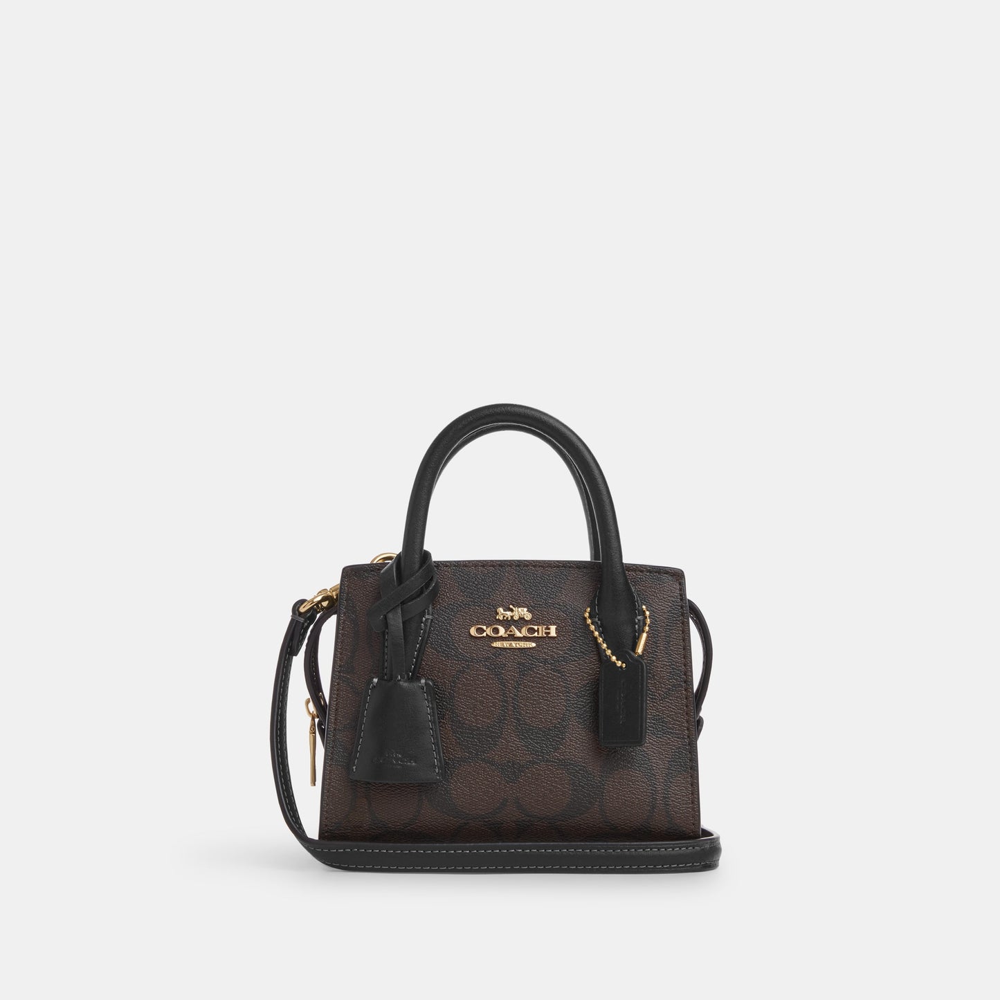 Andrea Mini Carryall In Signature Canvas