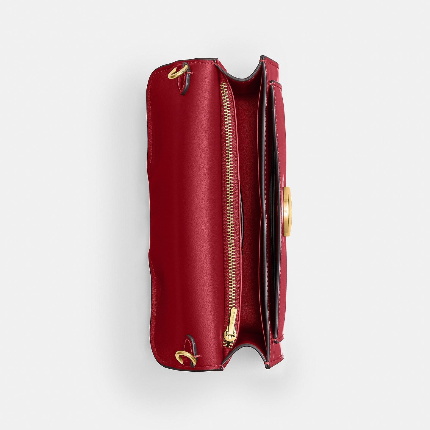 Tabby Chain Clutch